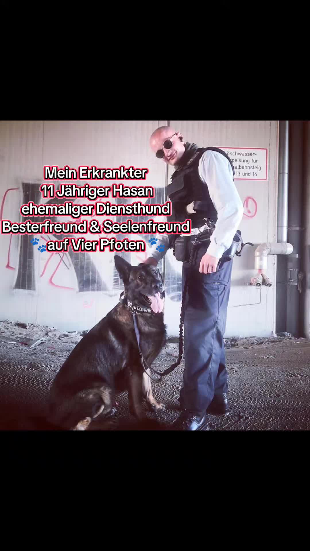 @K9 Palatinus-Unit☑️
