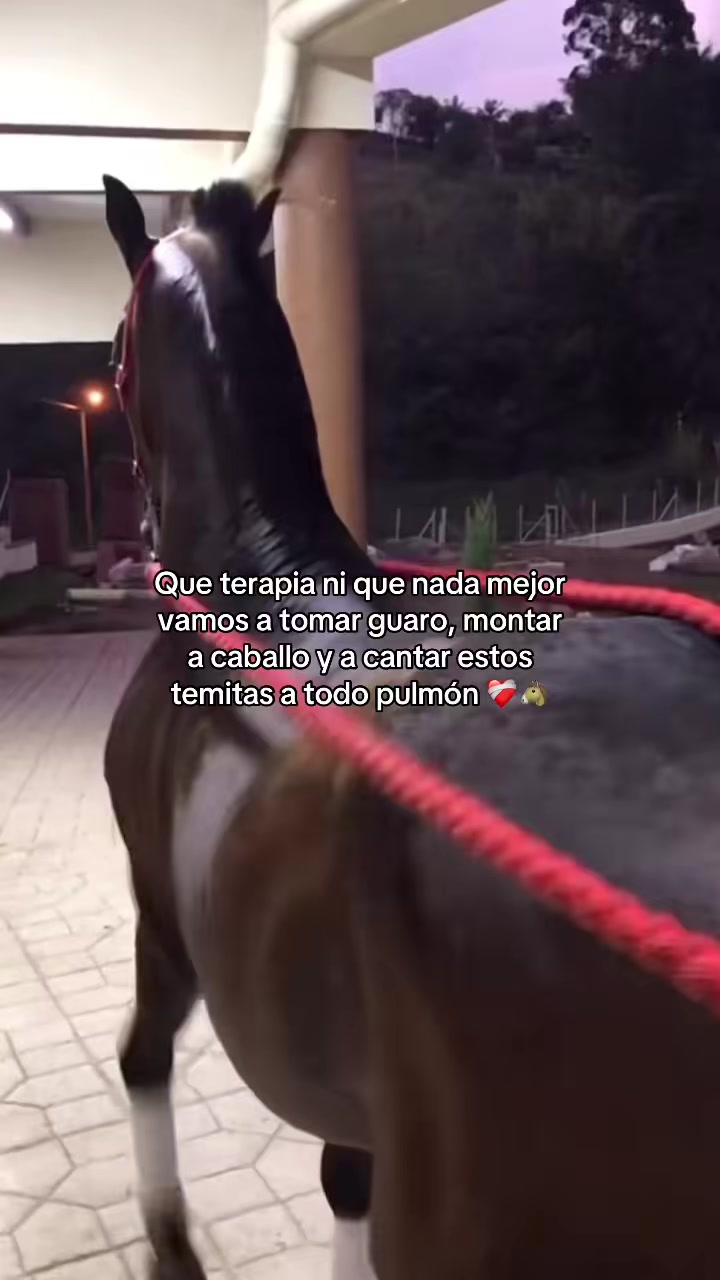 @Camilo ✓