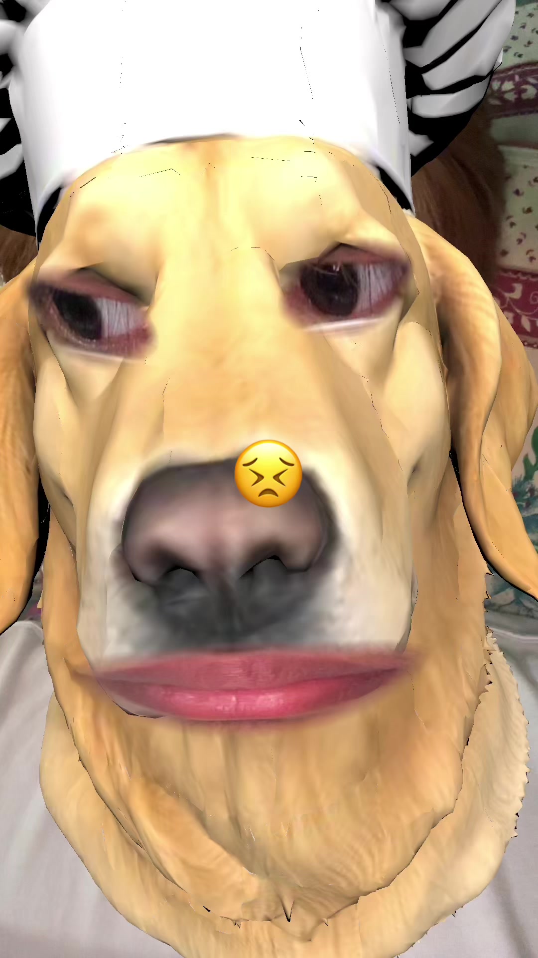 @searrrrr