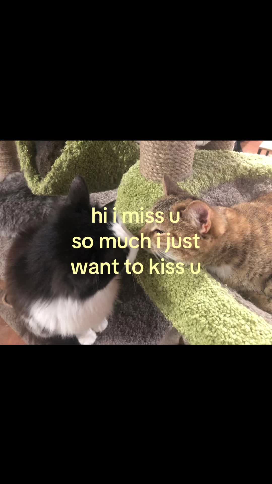 @rwnd