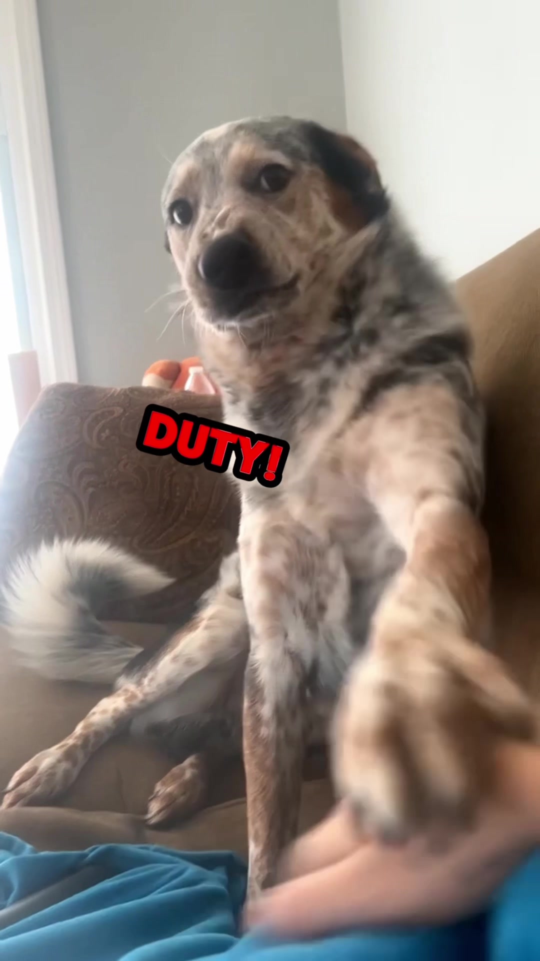 @Rufus Goodboy