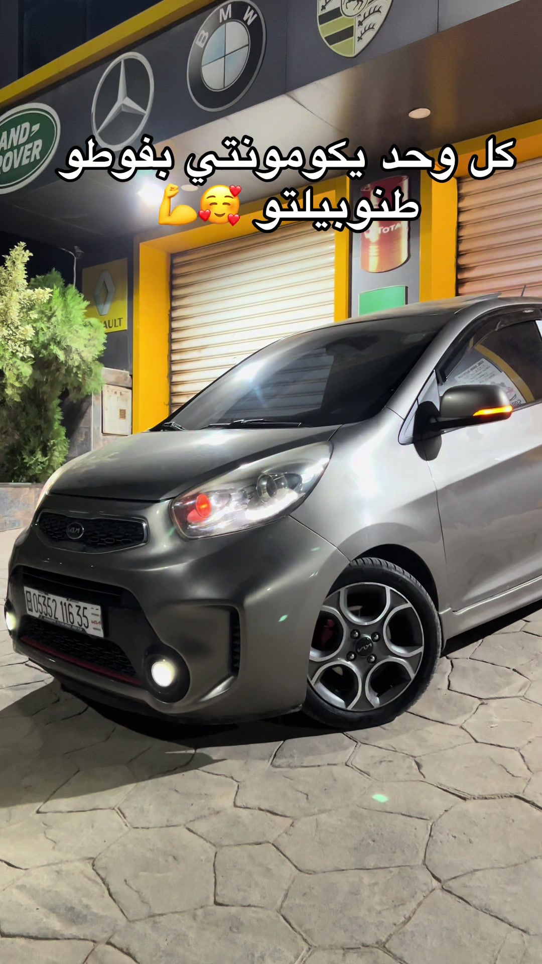 @anis picanto