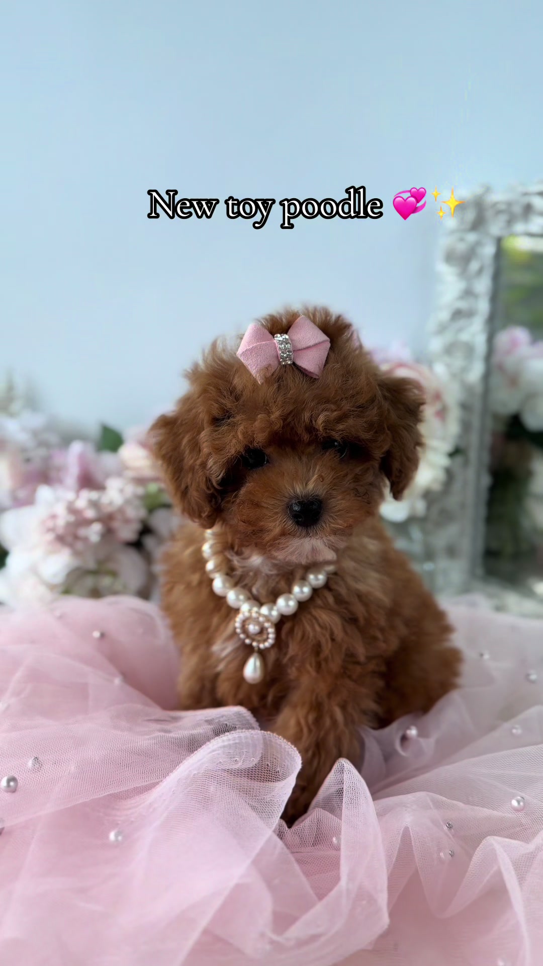 @TeaCups, Puppies & Boutique &reg;️
