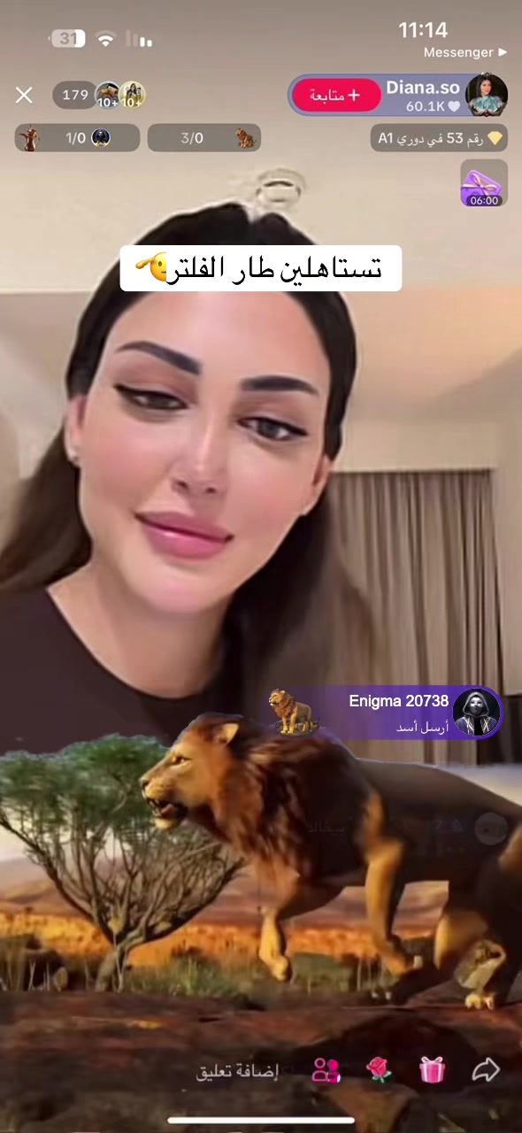 @Enigma IVIOE