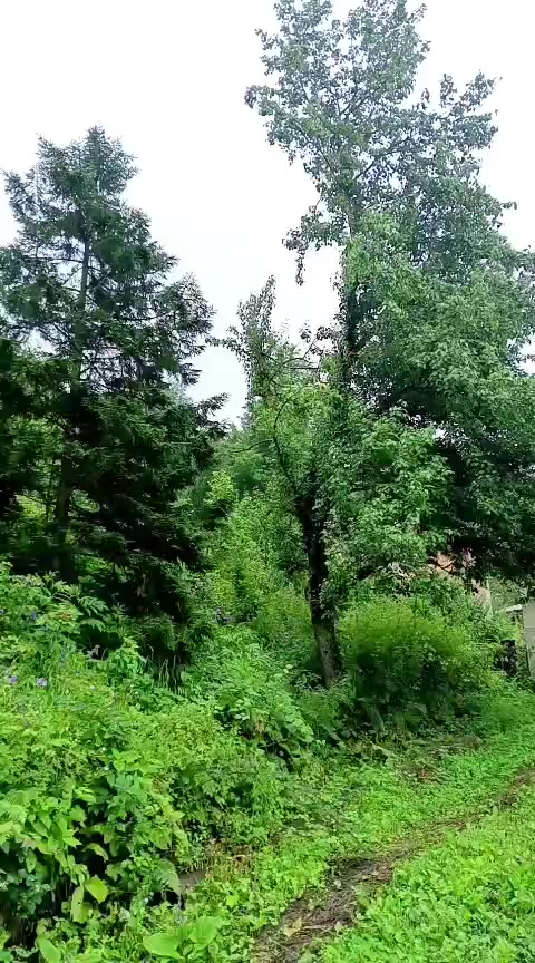 @gül_ygt34
