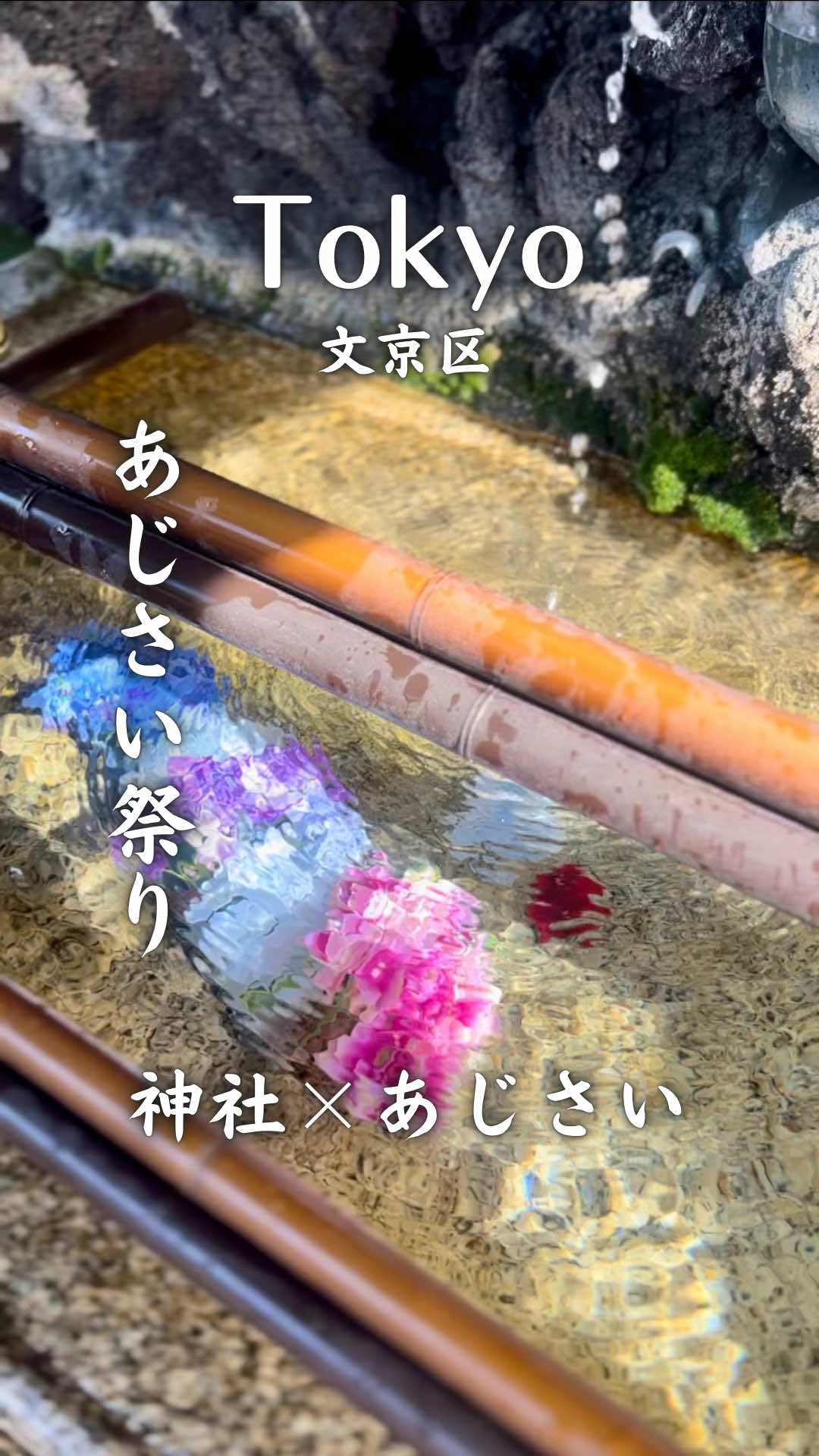 @りょうすけ【東京映えスポット紹介🗼】