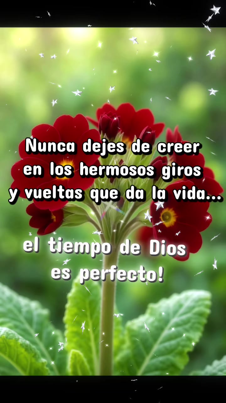 @dios es amor 🙏🤲❤️