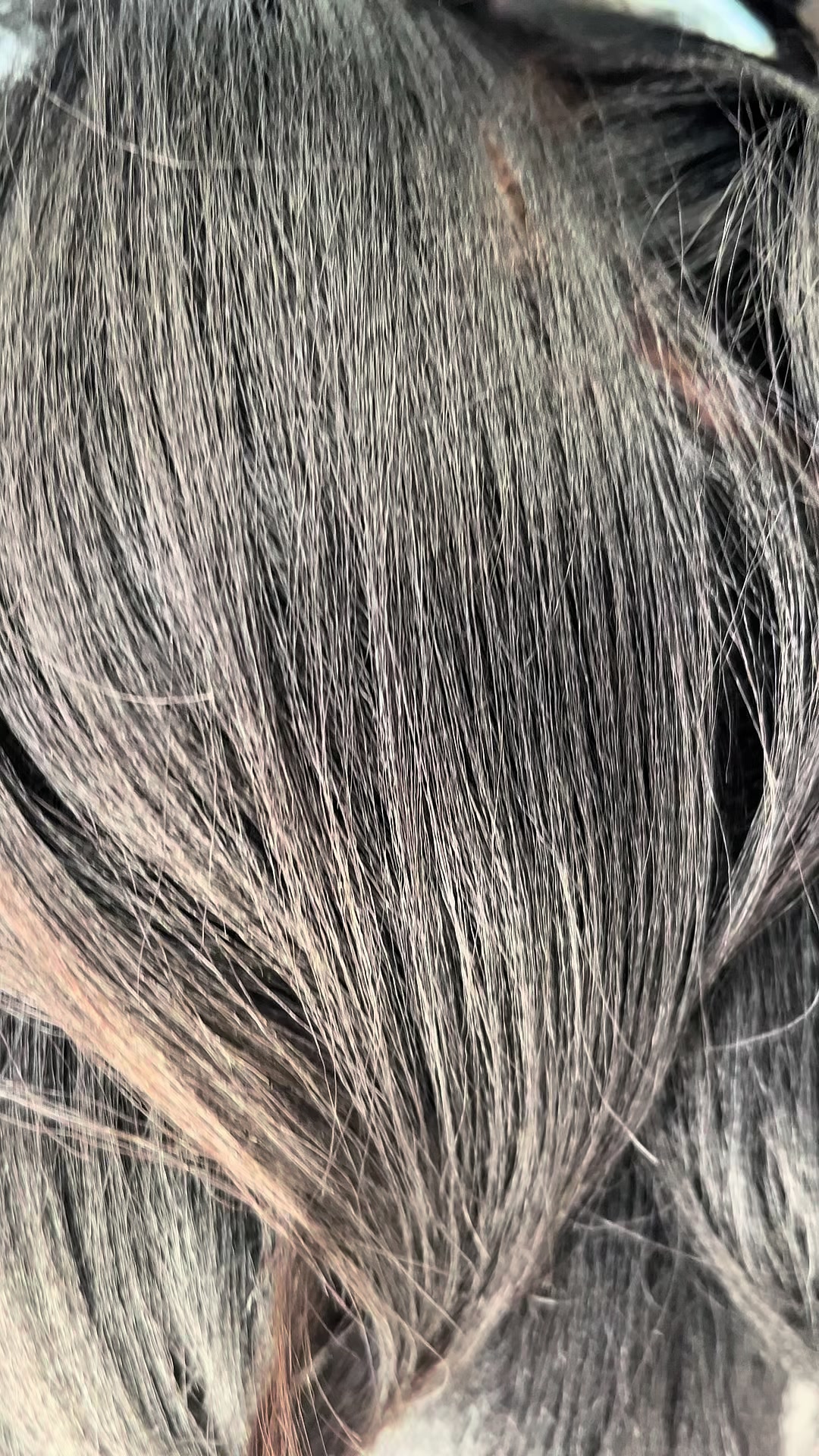 @Noir Hair SA