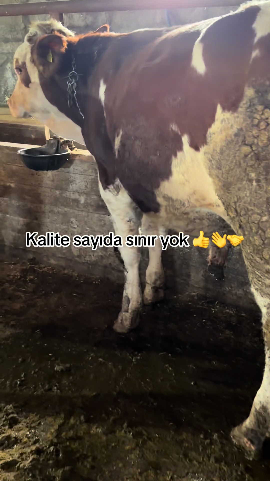 @🦅 yusuf yıldırım 04 🦅
