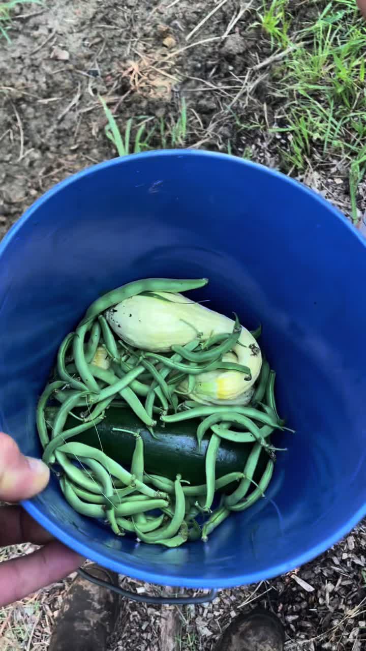 @Gray Acres Homestead