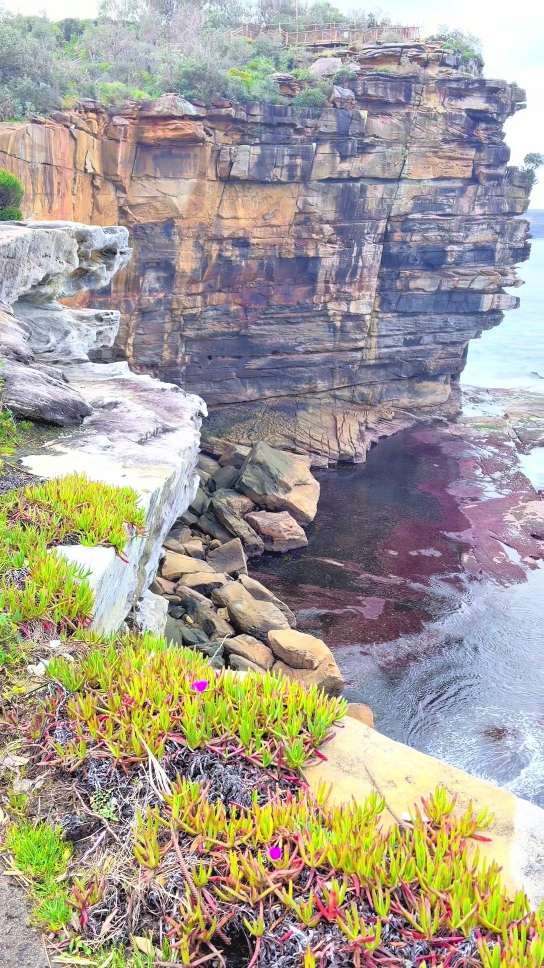 @🇹🇼Holly 🇦🇺Australia