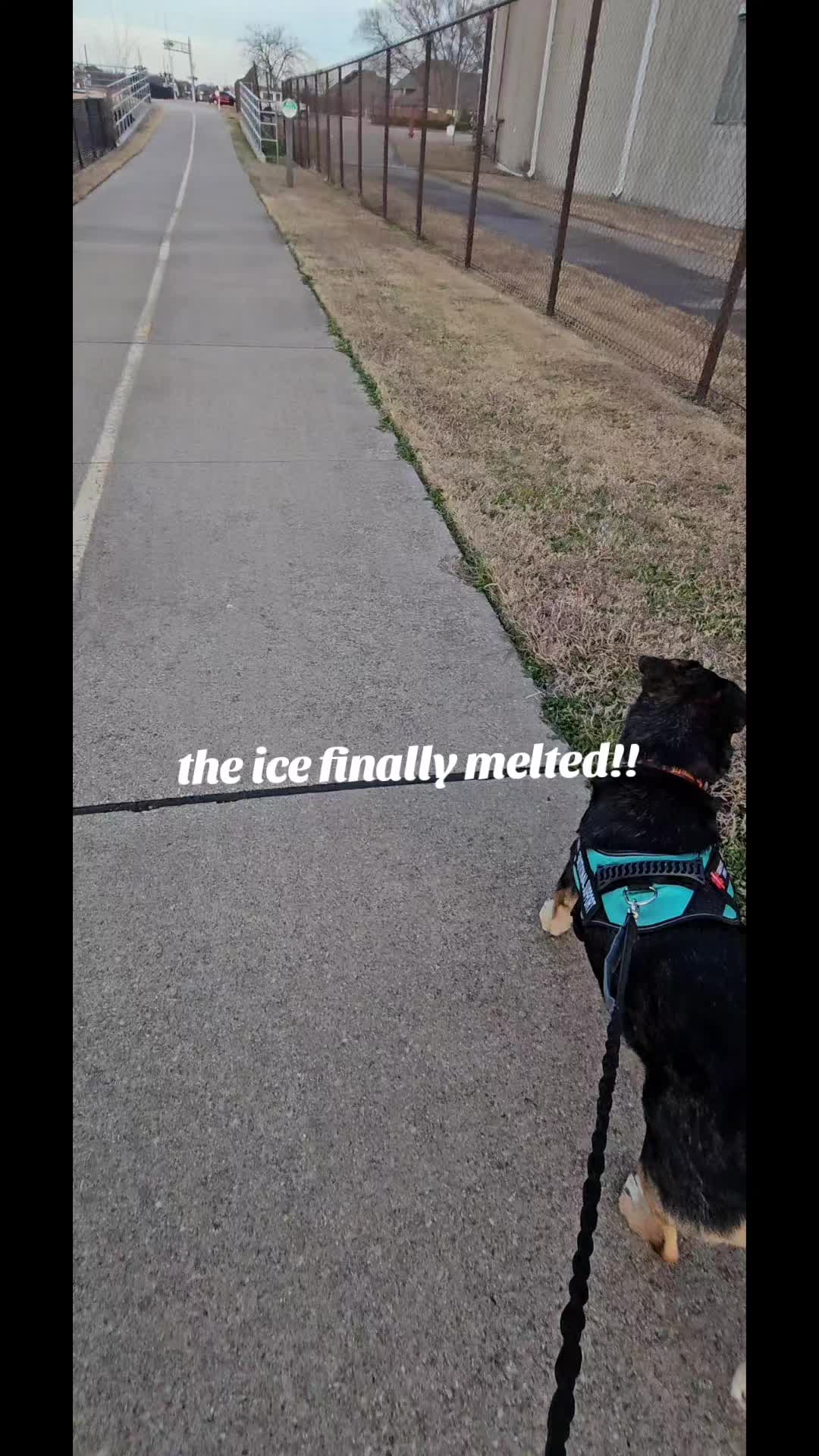 @Megan๐ฆ๐