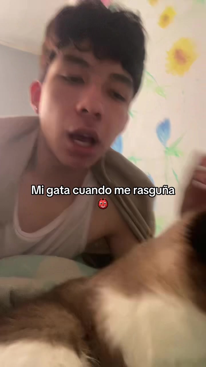@alan_britooto