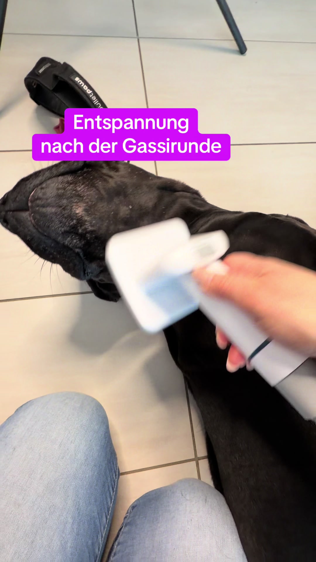 @Braunici