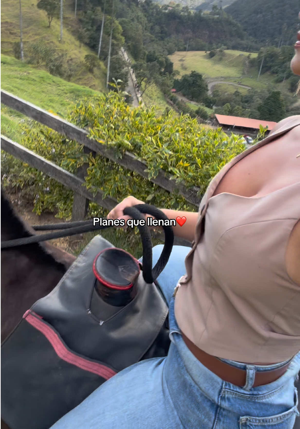 @Daniela Mejia