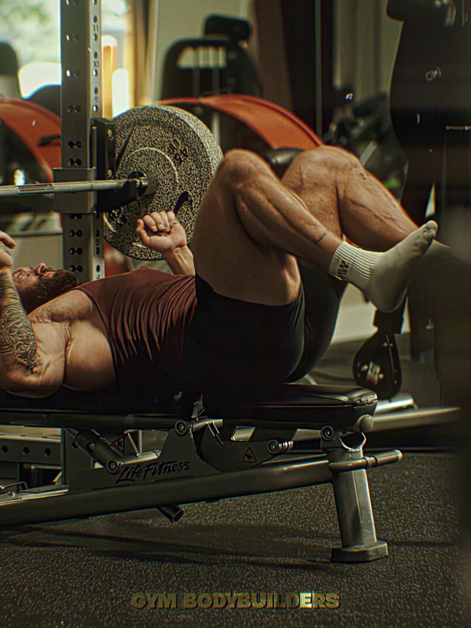 @Gym Bodybuilders