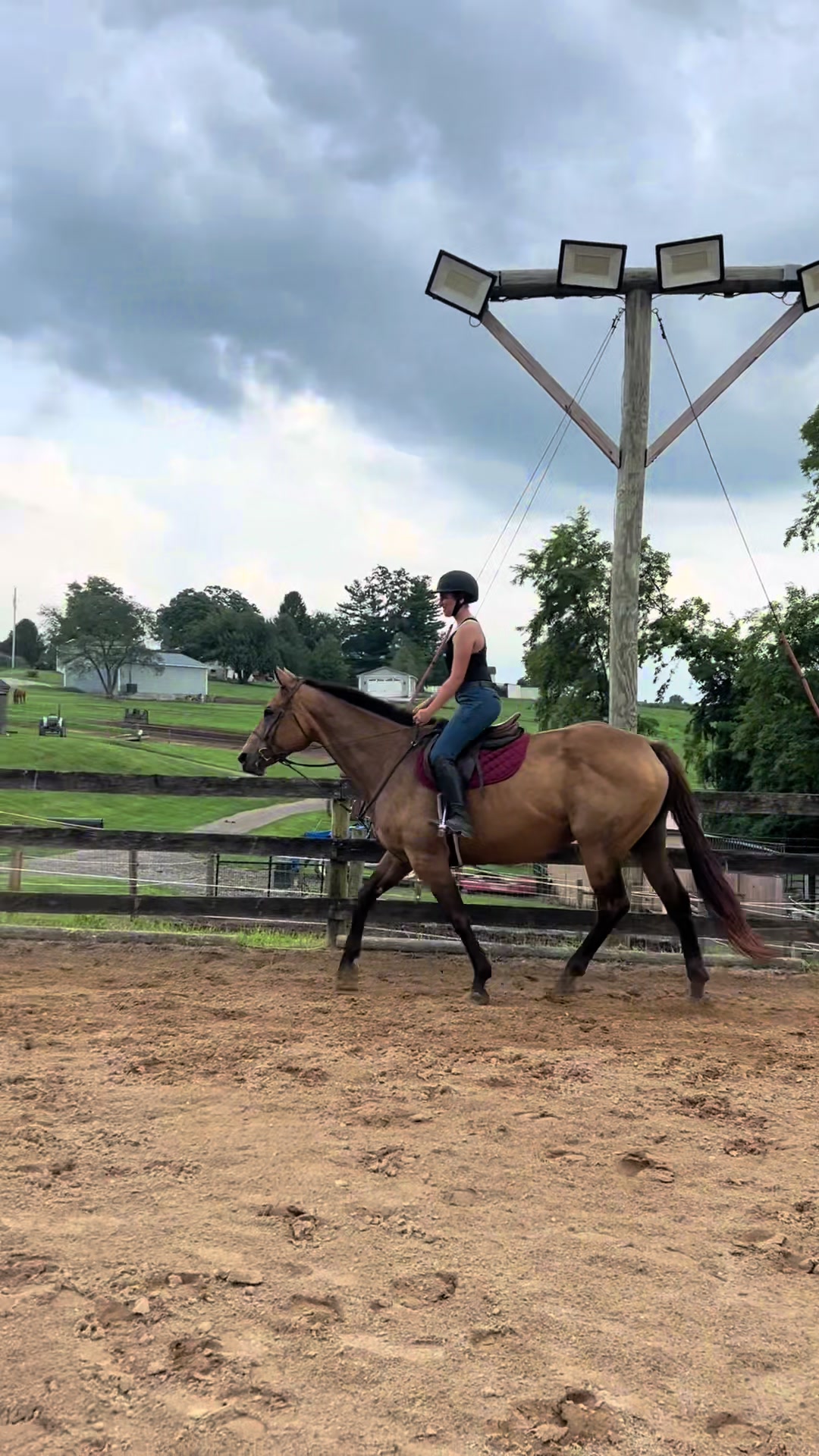 @Aftyn 🐎