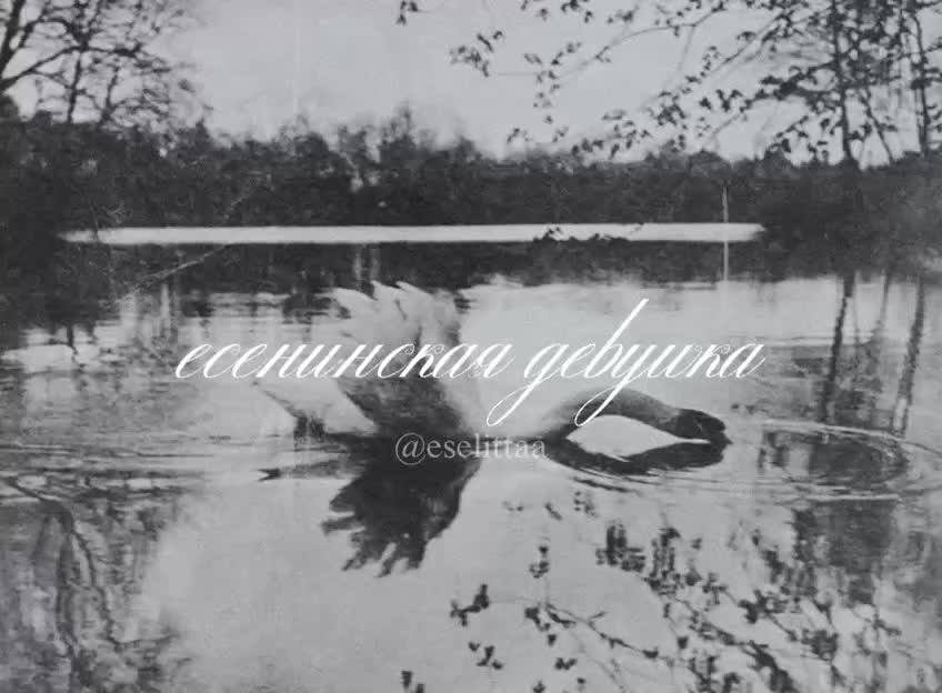 @поэтъ есенька есенина