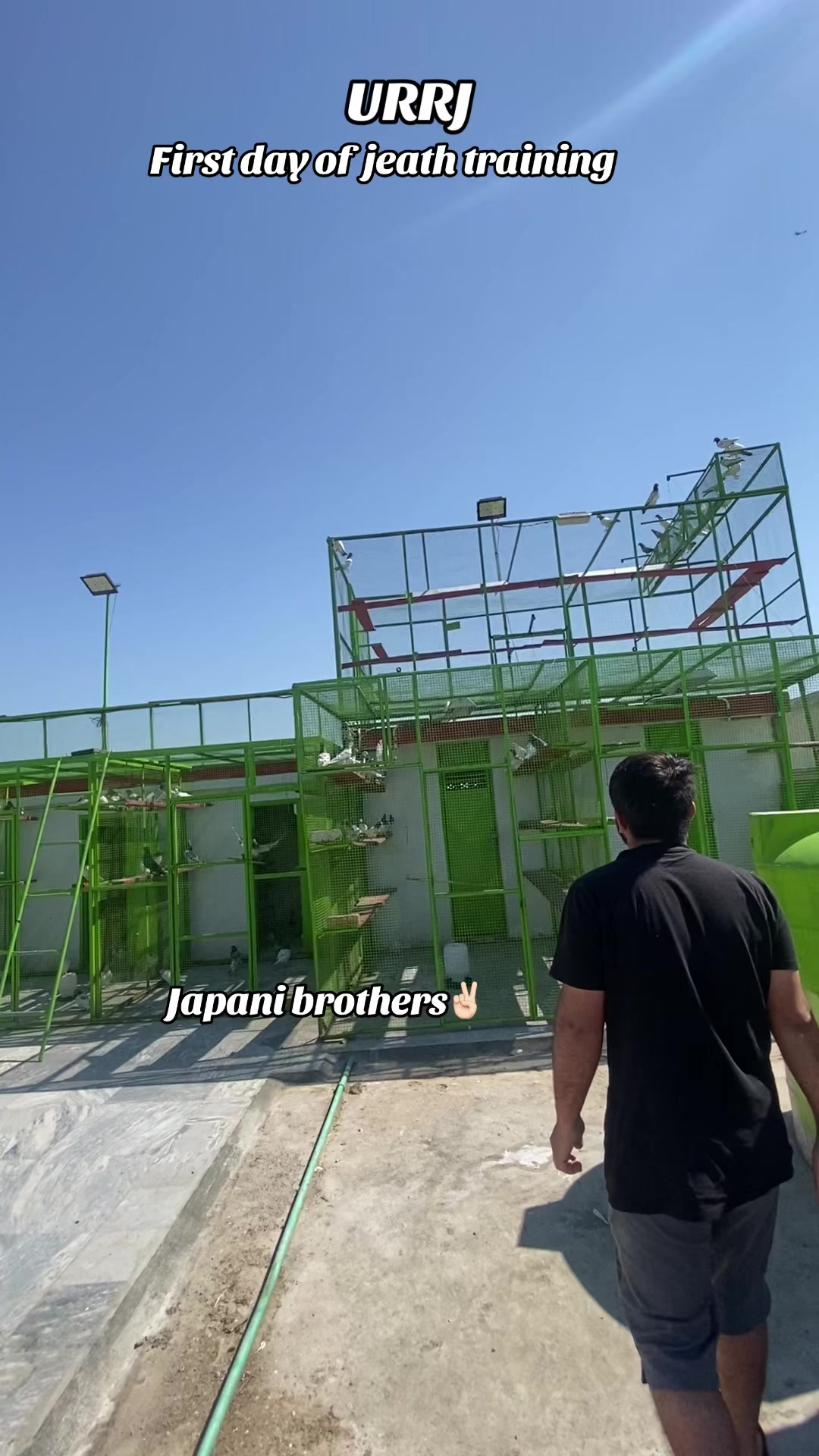 @Japani brother مل والی پارٹی