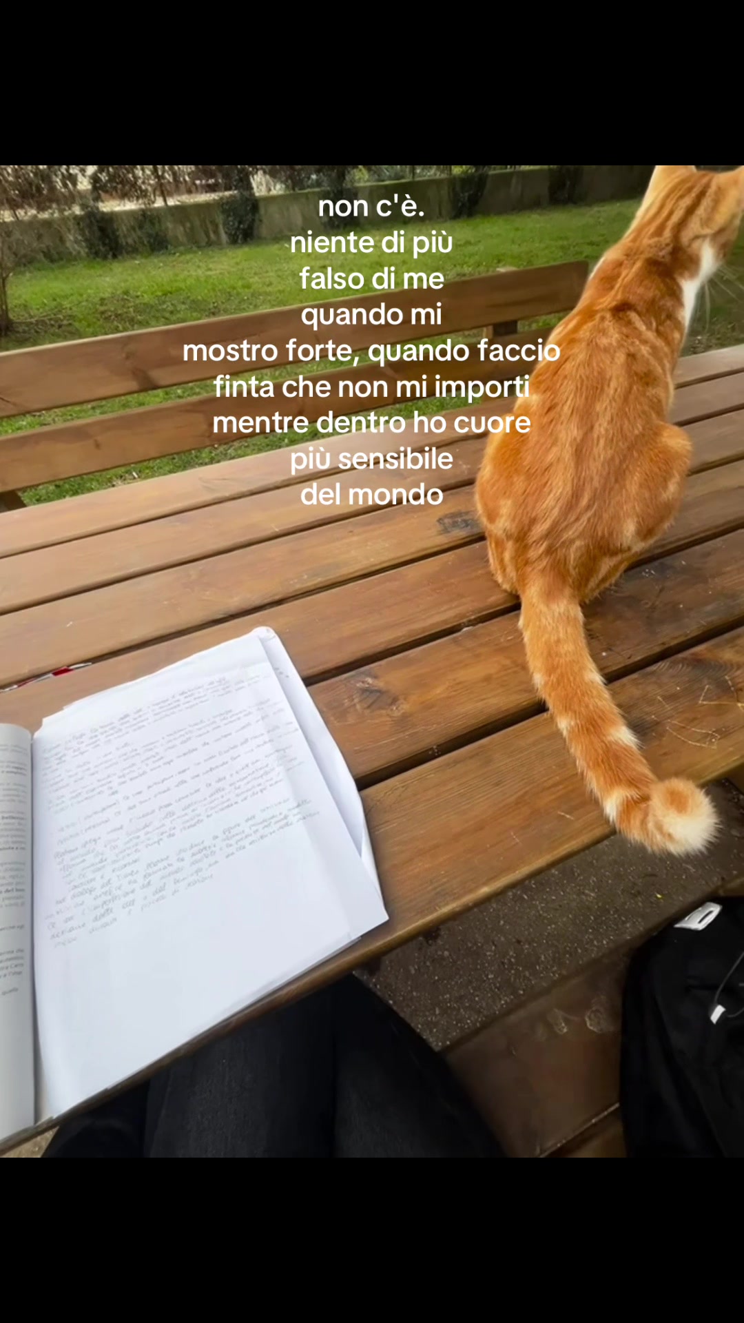 @utent