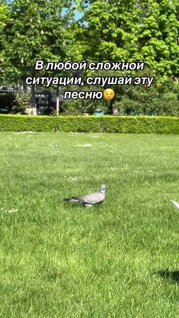 @Maks Bdulenko