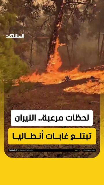 @Al Mashhad المشهد