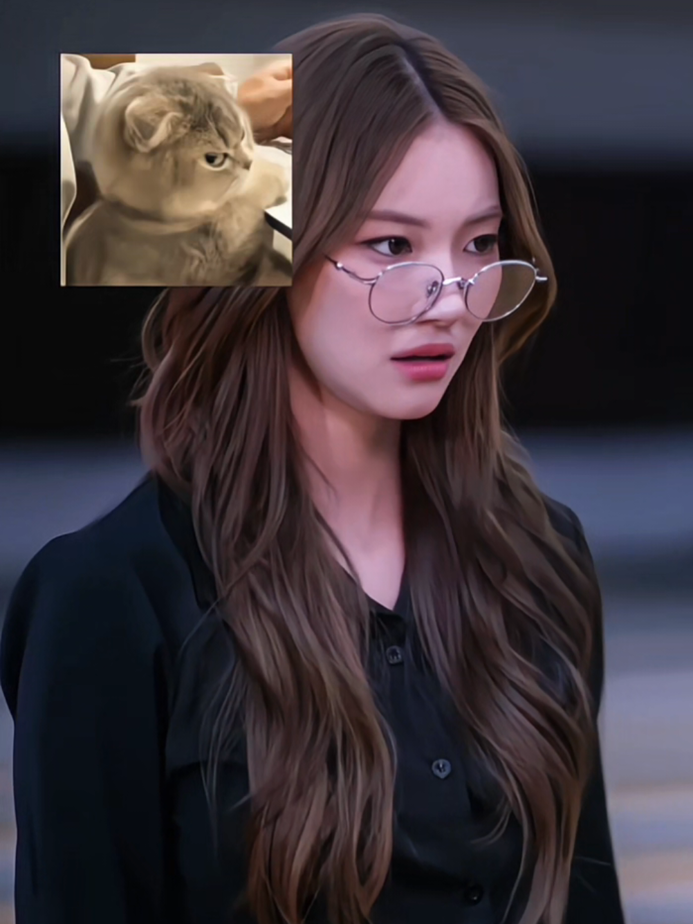 @miaw:3