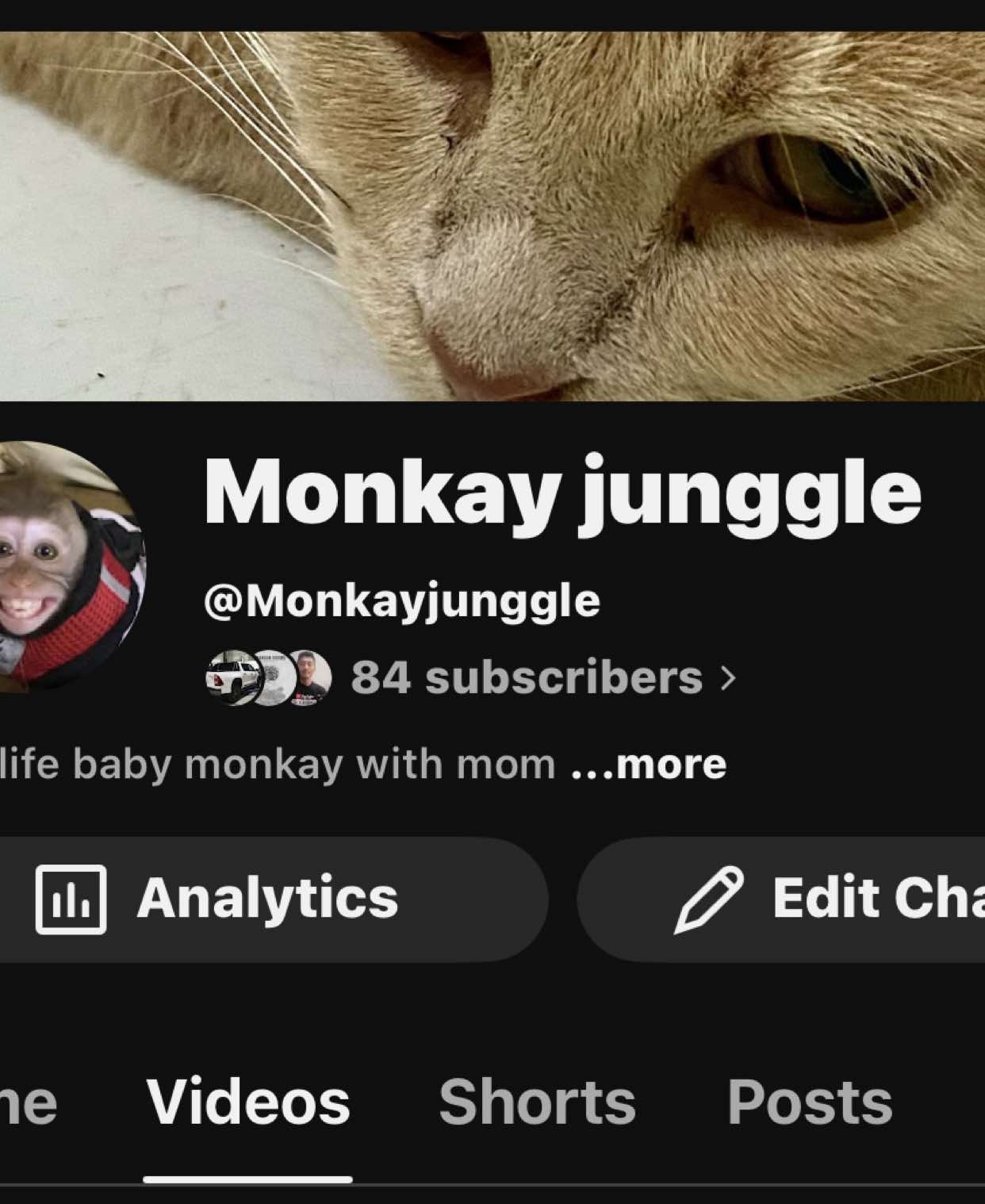 @Monkay Baby
