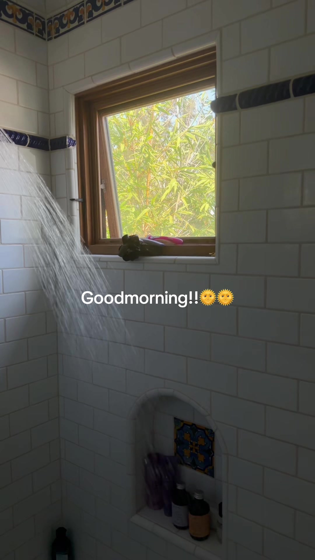 @CocoReisman