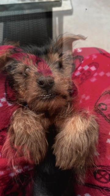 @Mar¡a|¡$ -0°🥶🧊