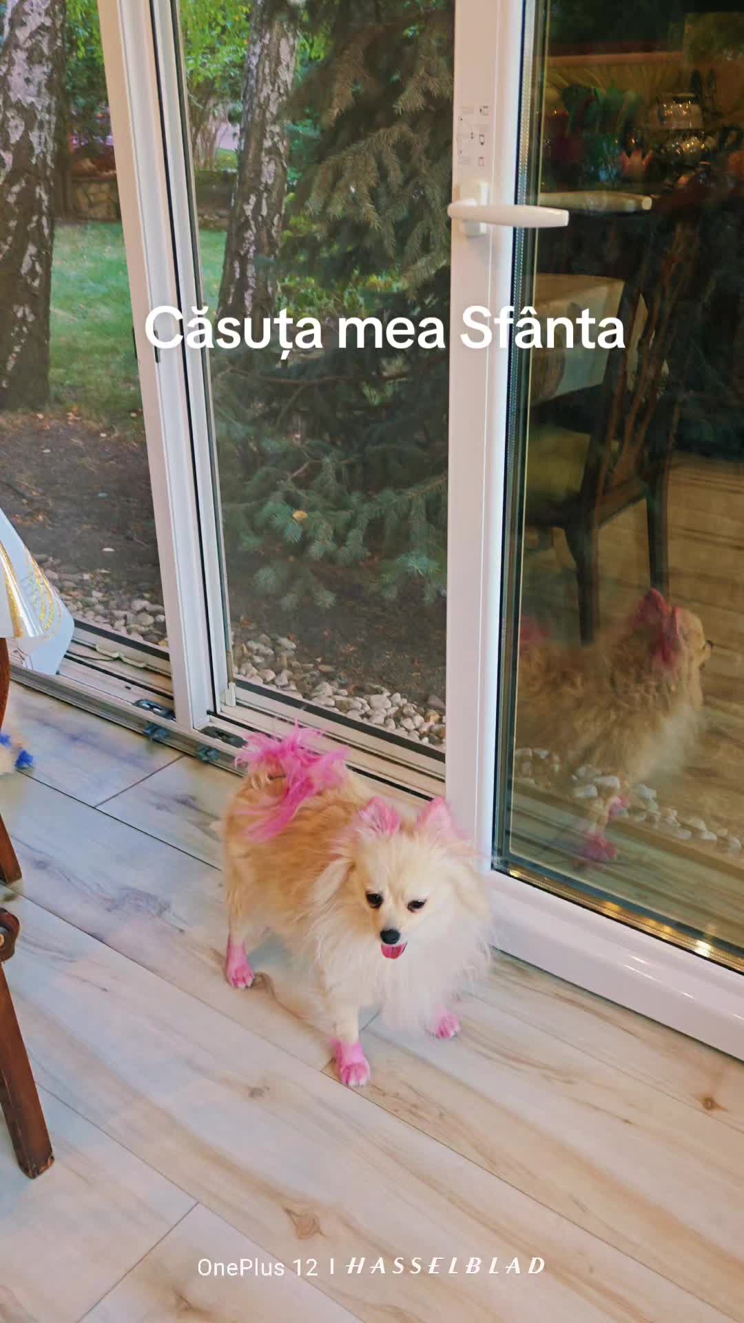 @Zidana Uzakovna