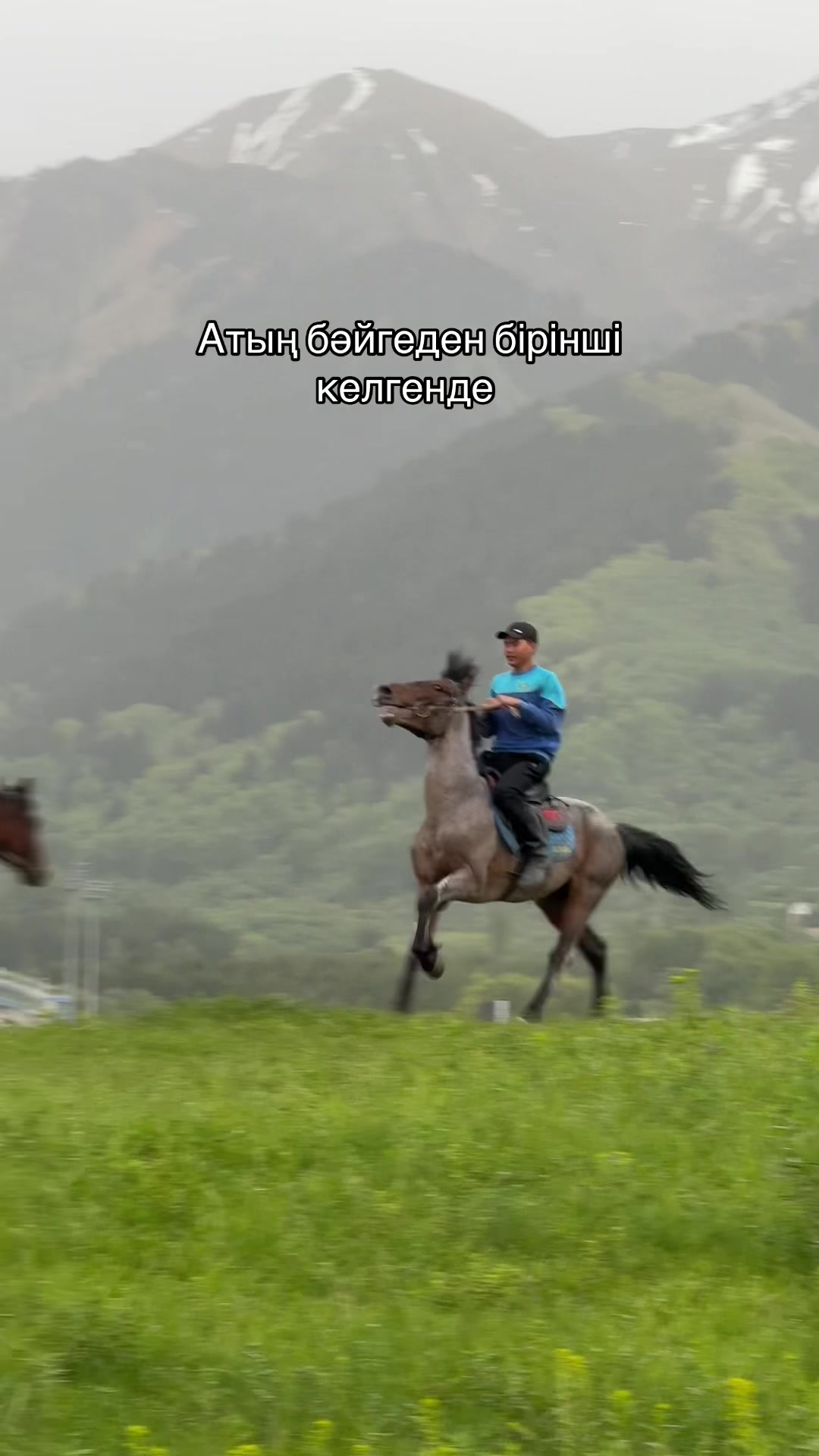 @akshatau_horses