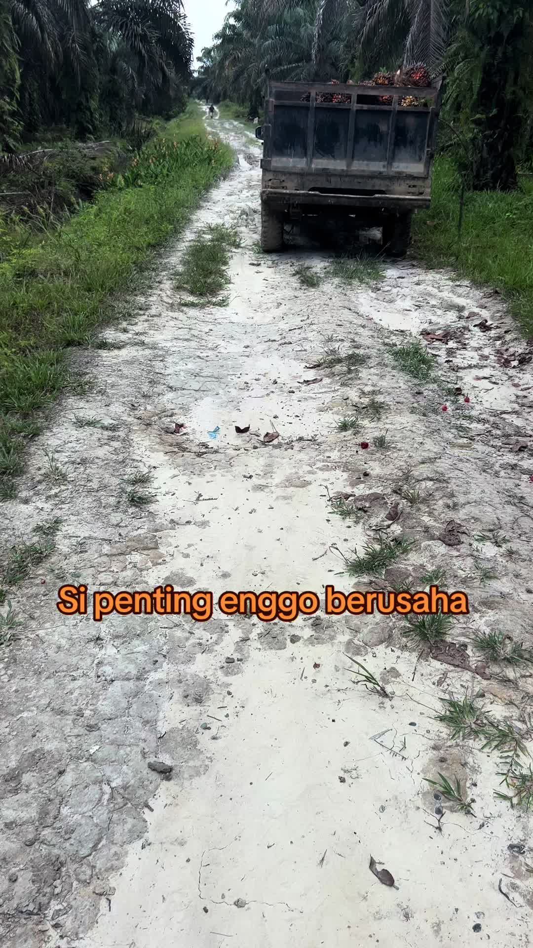 @Darma ginting