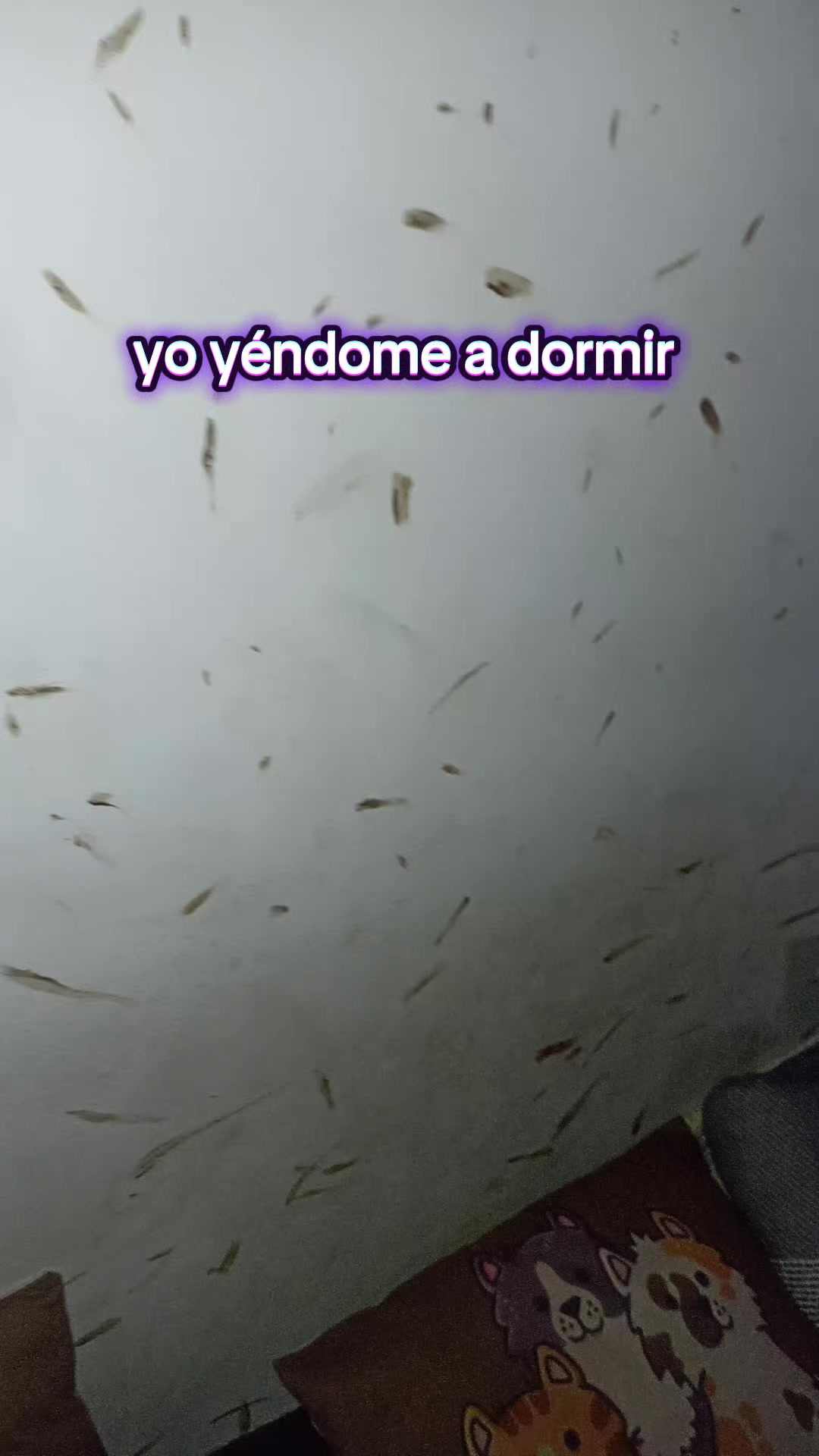 @Dylanoso81