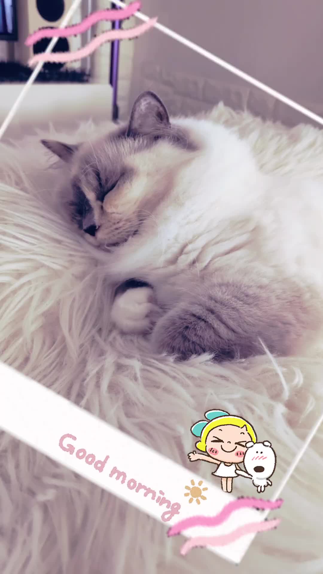@ベコまま