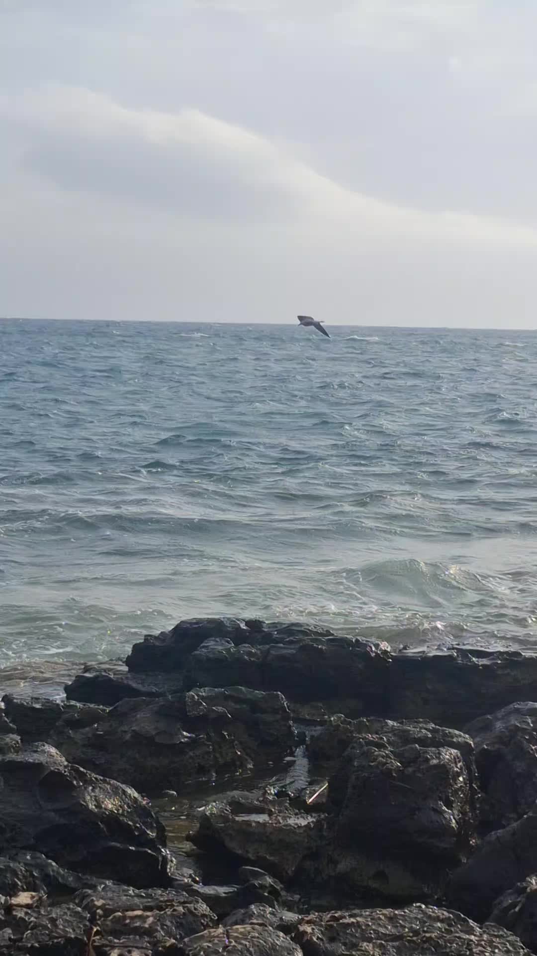 @Gianpiero