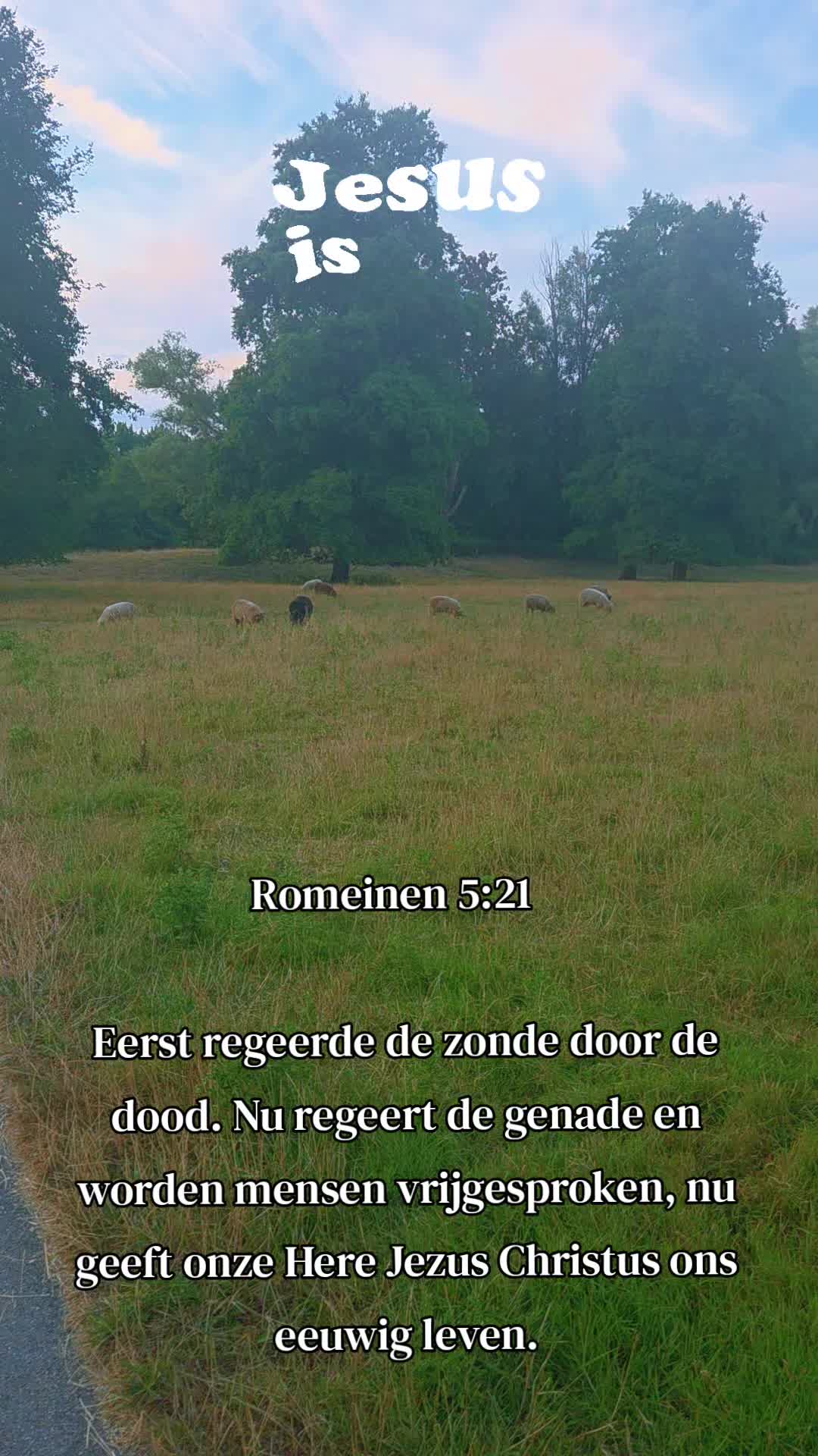@Liefde Leeft