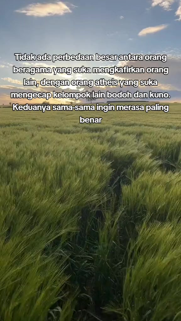 @mimoy