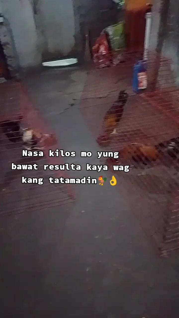 @Tatuy's BKYRD