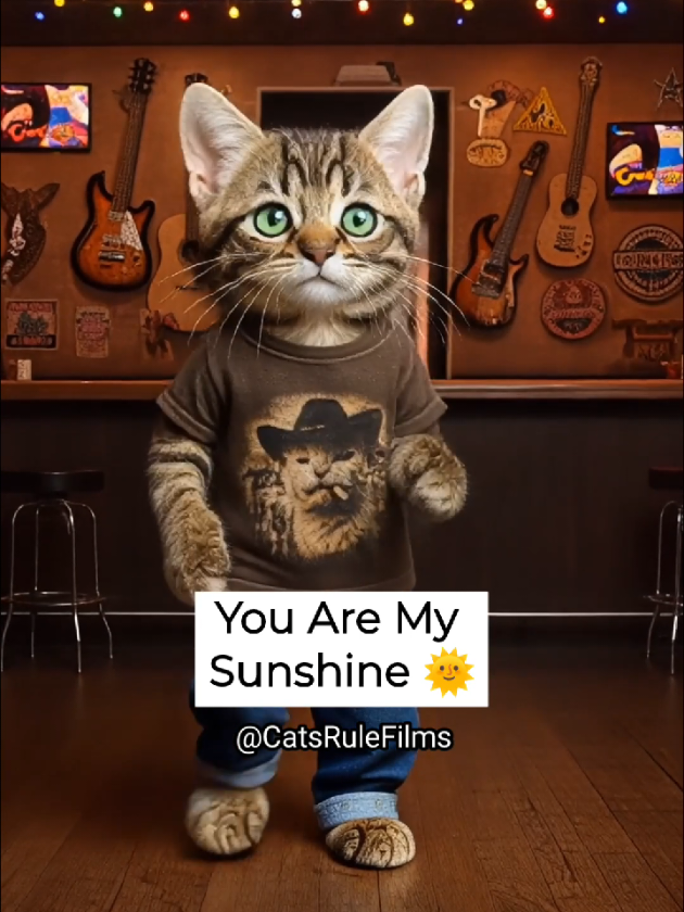 @MidnightCatClub