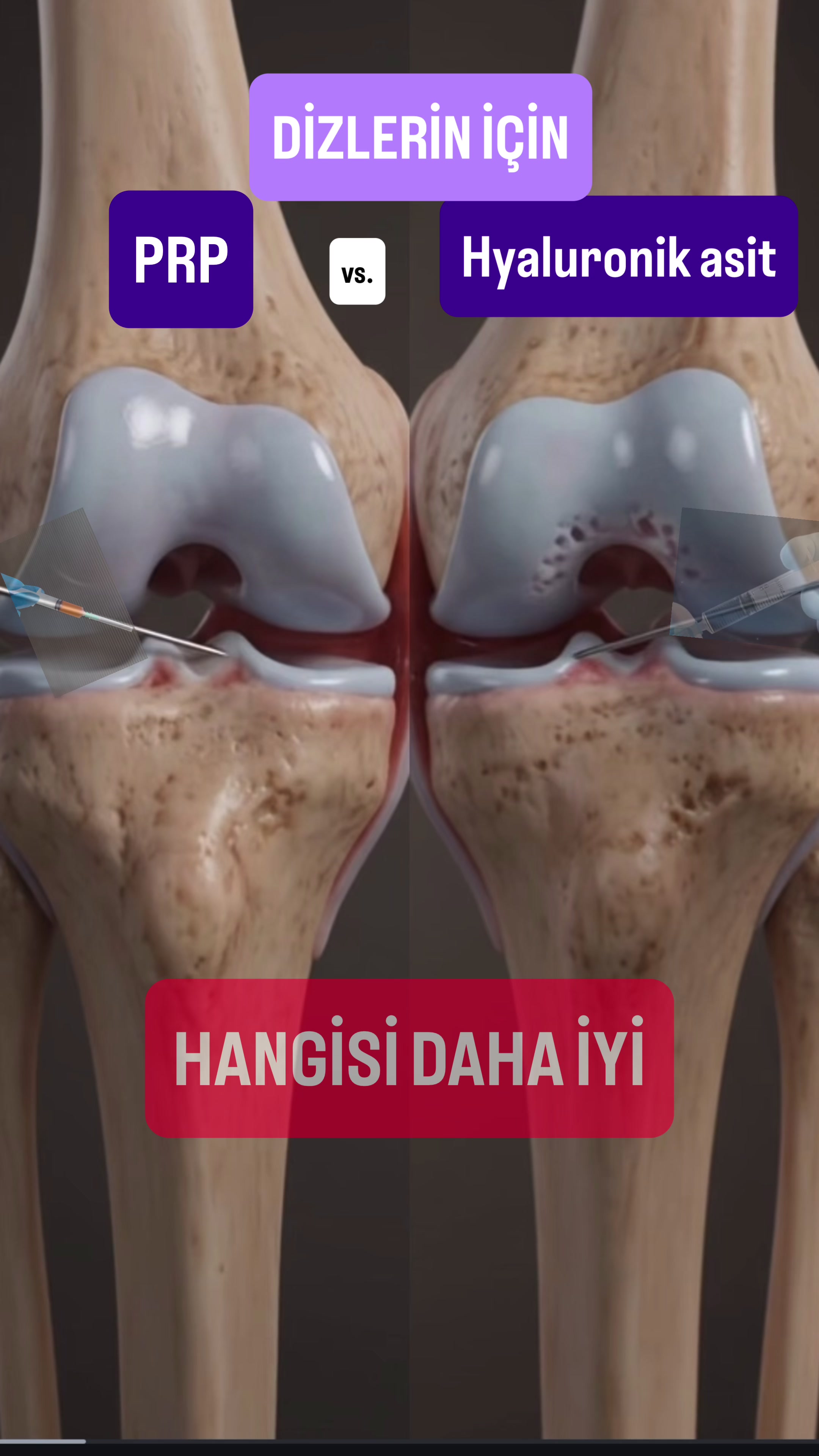 @Dr. Beşir Şahin İnceer