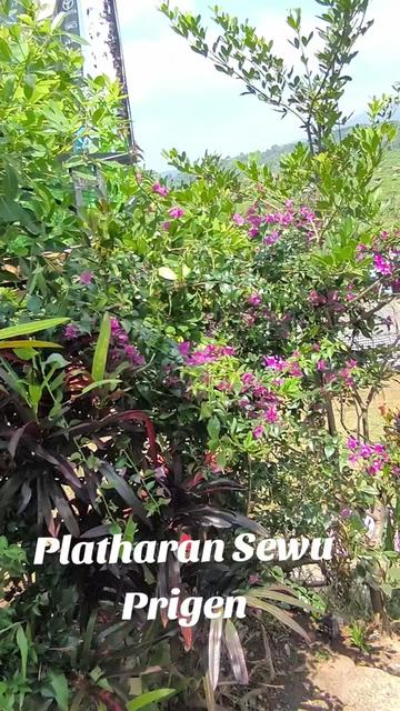 @teman yang anda kenal