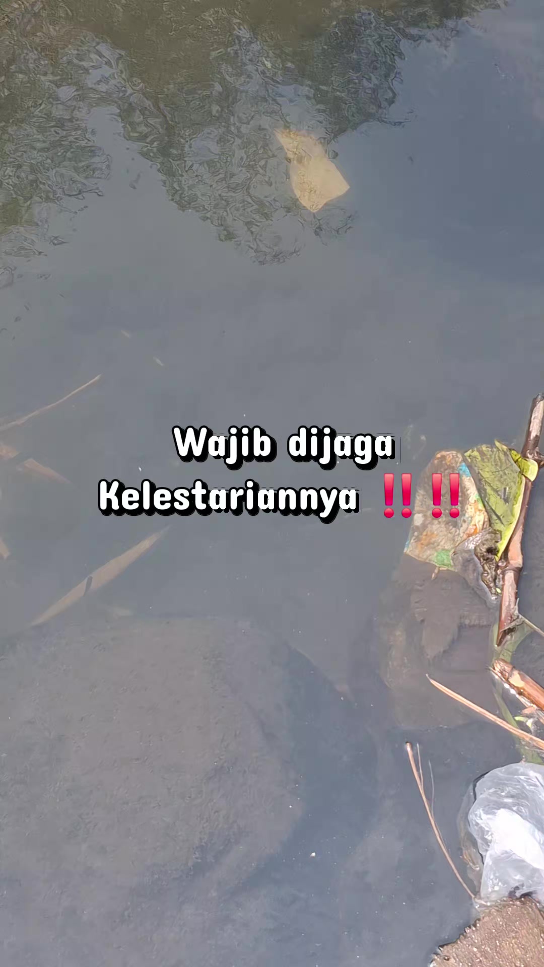 @Gasle Fishing