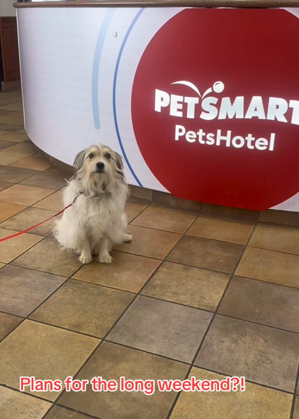 @PetSmart