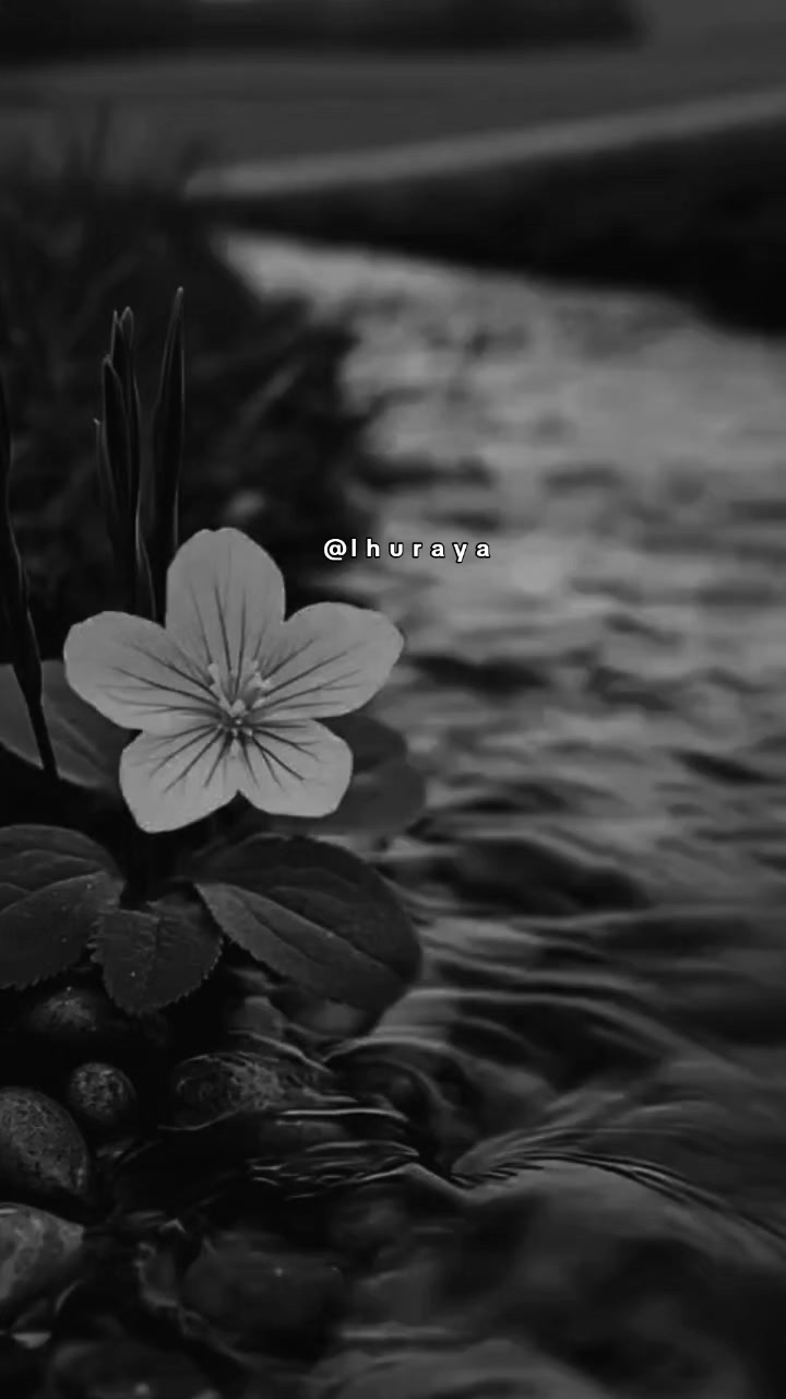 @الثــريا ✨