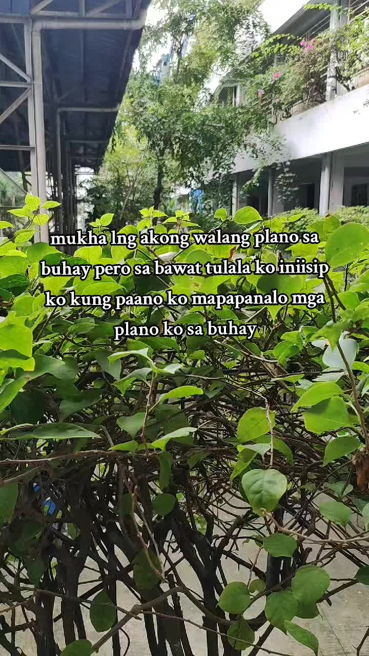 @ate nawi🥀