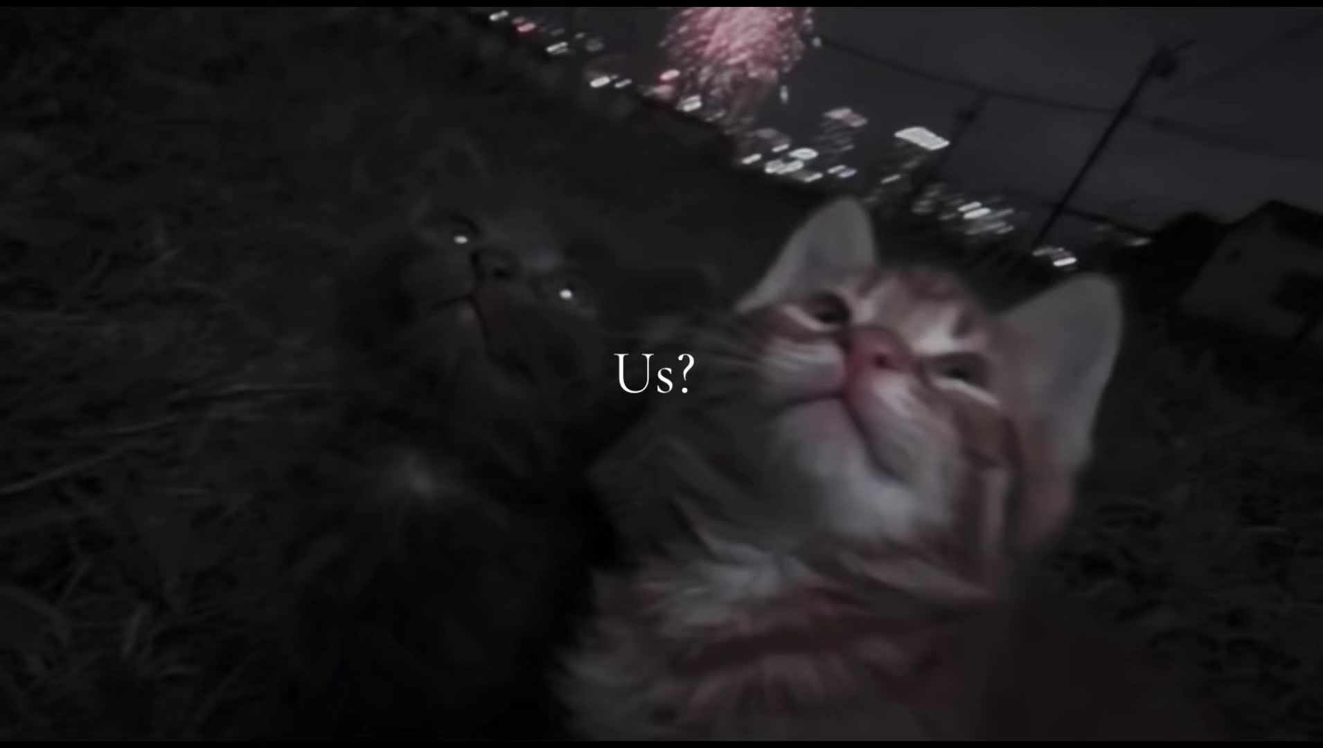 @𓇼 𝓙𝓪𝓮𓏲*ੈ