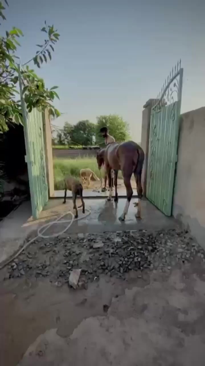 @Màlík Hàsñåt Jàïsåk❣️