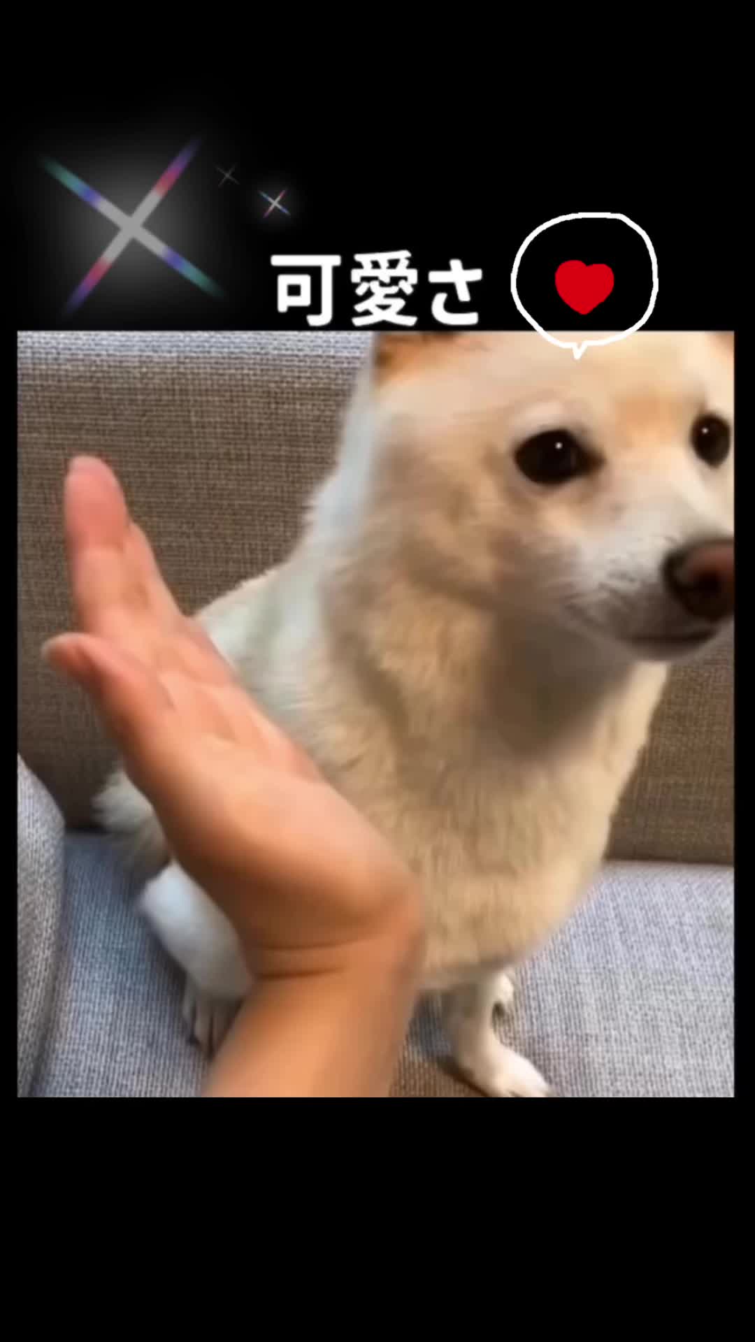 @kurepin0888