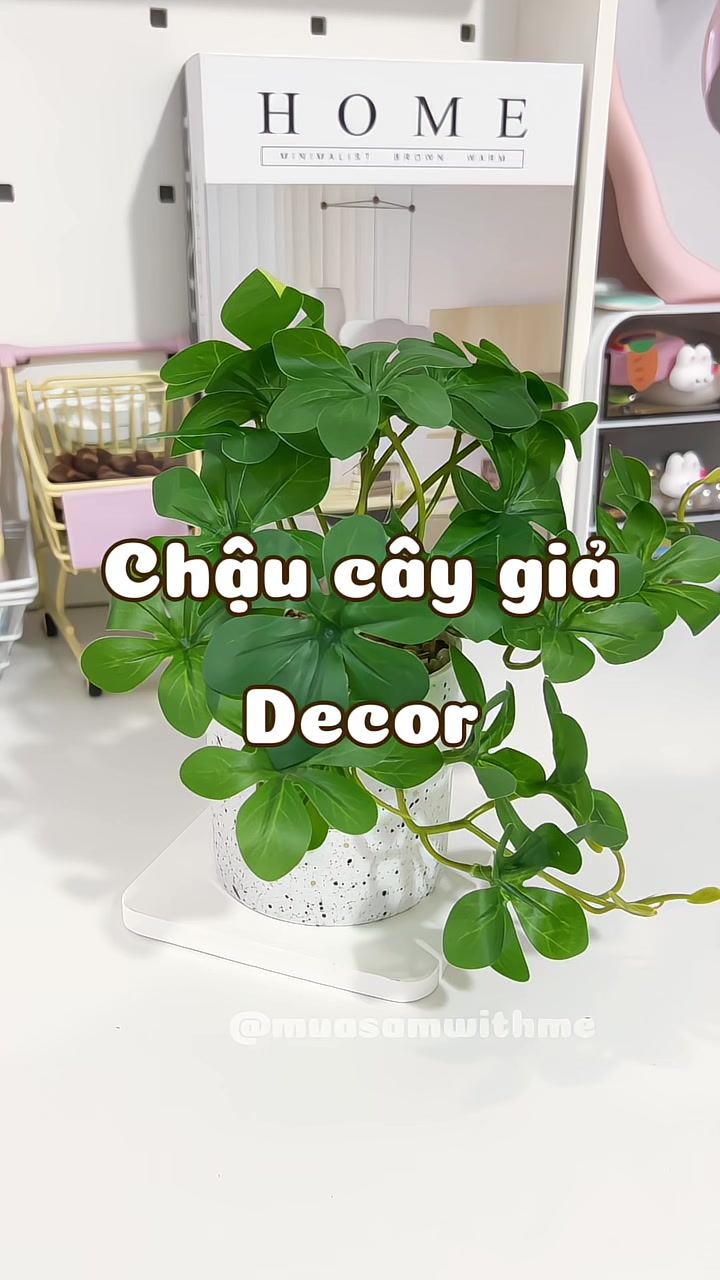 @𝙉𝙜𝙝𝙞𝙚𝙣𝙢𝙪𝙖𝙨𝙖𝙢